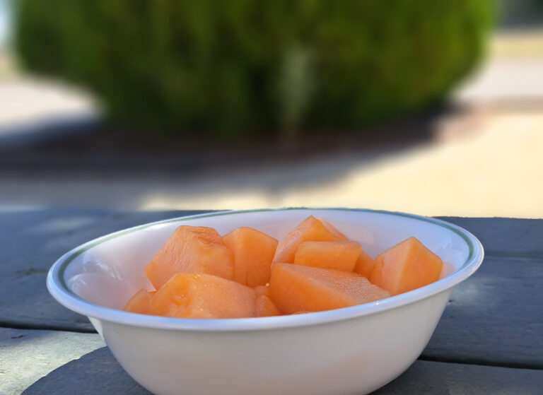 a white bowl of cut cantaloupe on a picnic table